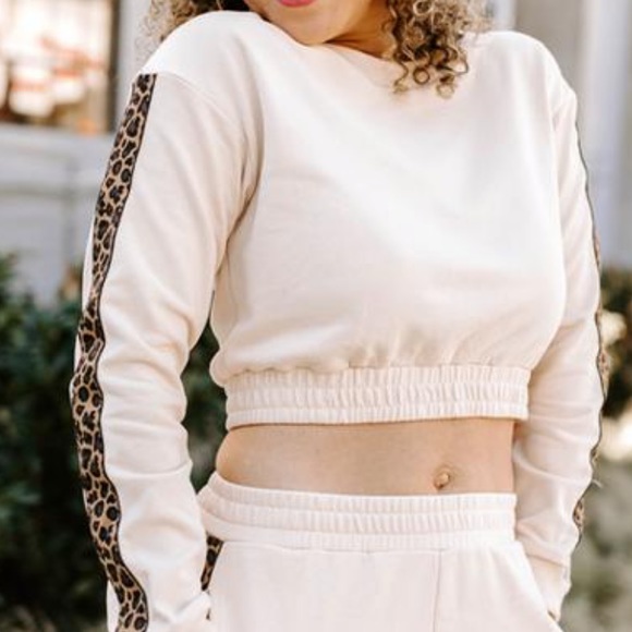 Kittenish Tops - NWT Kittenish Crop Top Sweatshirt